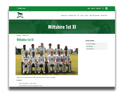 Wiltshire-1st-XI-Wiltshire-CCC_module.png